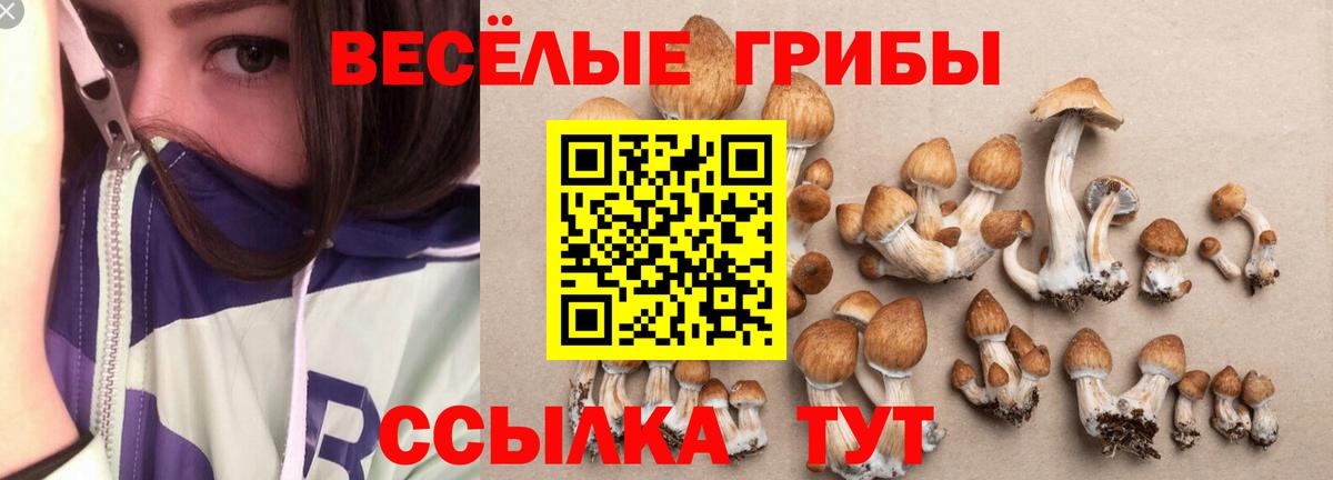 Киселёвск  Галлюциногенные грибы Magic Shrooms  Галлюциногенные грибы GOLDEN TEACHER  Вход с VPN 
